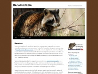 mapachepedia.com