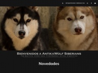 Antikawolf-siberians.com