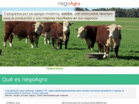 Negoagro.com