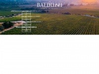 balduzzi.com