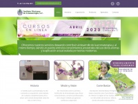 Institutodearomaterapia.com.mx