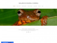 Rivera-correa.weebly.com