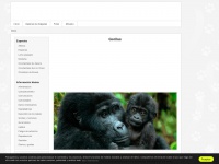 gorilaswiki.com Thumbnail