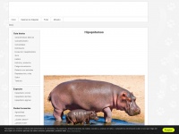 hipopotamoswiki.com Thumbnail