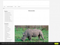 rinoceronteswiki.com