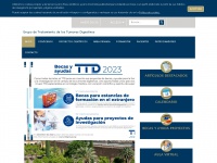 Ttdgroup.org