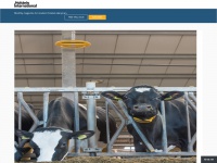 Holsteininternational.com