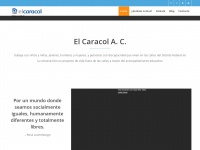 elcaracol.org.mx Thumbnail