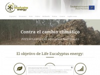 eucalyptusenergy.com