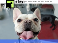 staydoghotel.com