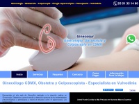ginecologo-obstetra-colposcopista.com.mx