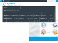 Synerlink.com