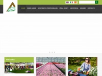 arber-horticulture.es Thumbnail
