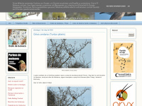 Birdingcatalunya.com