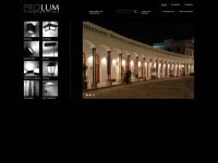 prolum.com.ar Thumbnail