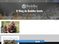 buddhagenetics.com Thumbnail