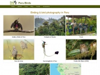 Perubirds.org