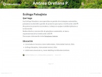 andreaorellana.com