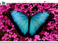 mariposasdemindo.com Thumbnail