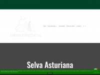 Selvaasturiana.com