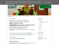 clinicaveterinariavaldemoro.blogspot.com