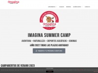 imaginasummercamp.com