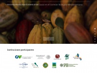 Cacao.centrogeo.org.mx