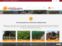 Medipalm.com
