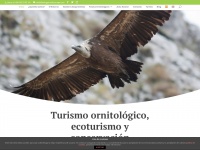 Birdingpicosdeeuropa.com