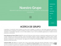 Grupoang.com.mx