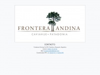 Fronteraandina.com.ar