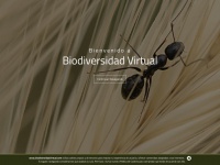 biodiversidadvirtual.org