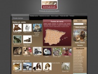Animalstock.net