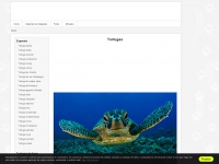 tortugaswiki.com Thumbnail