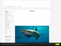 tiburoneswiki.com