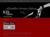 Icelfm.com