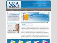 skya.com.ar Thumbnail