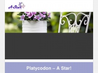 Platycodon.com.br