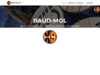 baud-mol.com.ar