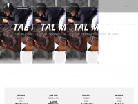 Talmilsteinstallions.com