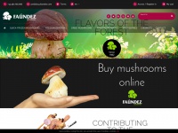 faundez.com