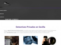detectivesavd.com
