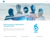 ceseconsultores.com Thumbnail