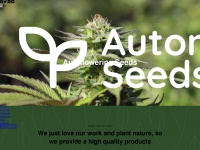 Automatic-seeds.com