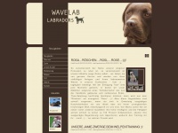 Wavelab-labradors.at