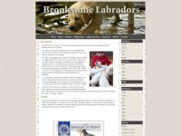 Brookstonelabs.com