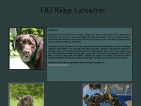 Oldridgelabradors.com