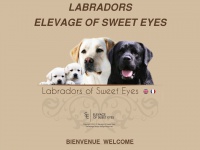 Labradorsofsweeteyes.com