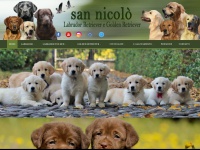 Sannicolo-labrador.com