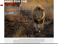 Bloodlions.org
